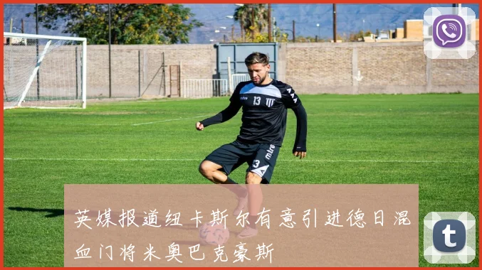 英媒报道纽卡斯尔有意引进德日混血门将米奥巴克豪斯